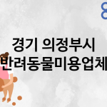 경기 의정부시 반려동물미용 업체 추천 5
