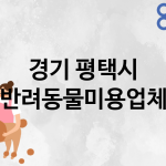 경기 평택시 반려동물미용 추천 TOP 5