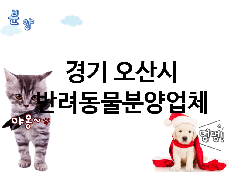 경기 오산시 반려동물분양 추천 TOP 1