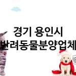 경기 용인시 반려동물분양 추천 TOP 3