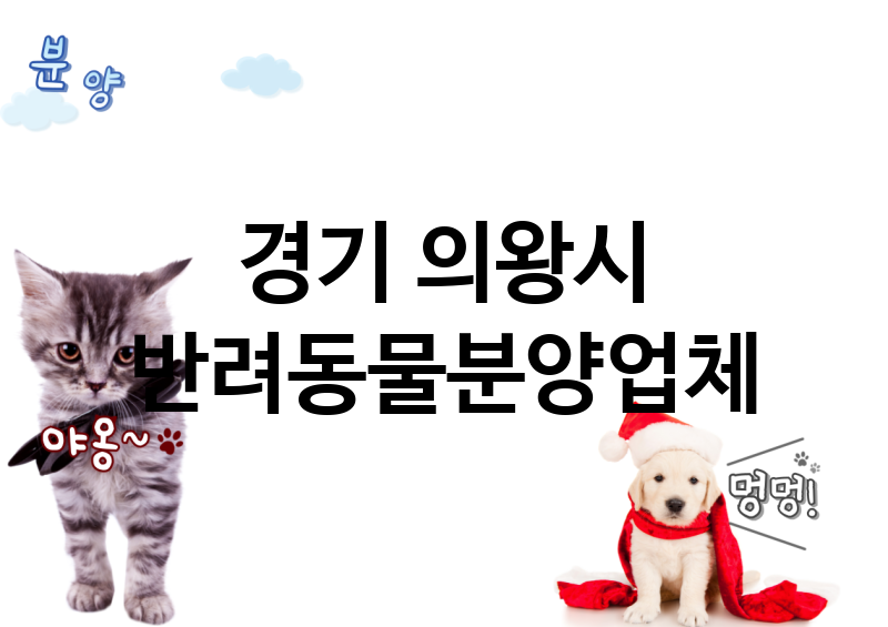 경기 의왕시 반려동물분양 업체 추천 5