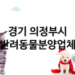 경기 의정부시 반려동물분양 추천 TOP 3