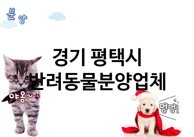 경기 평택시 반려동물분양 업체 추천 5
