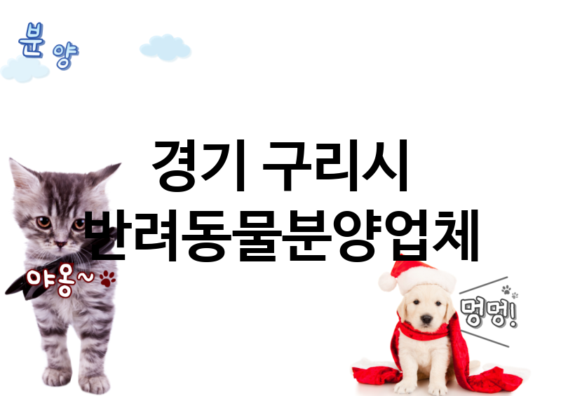 경기 구리시 반려동물분양 업체 추천 2