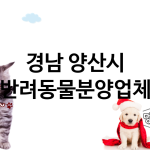 경남 양산시 반려동물분양 추천 TOP 1