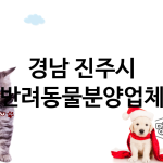 경남 진주시 반려동물분양 추천 TOP 5