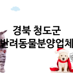 경북 청도군 반려동물분양 추천 TOP 3
