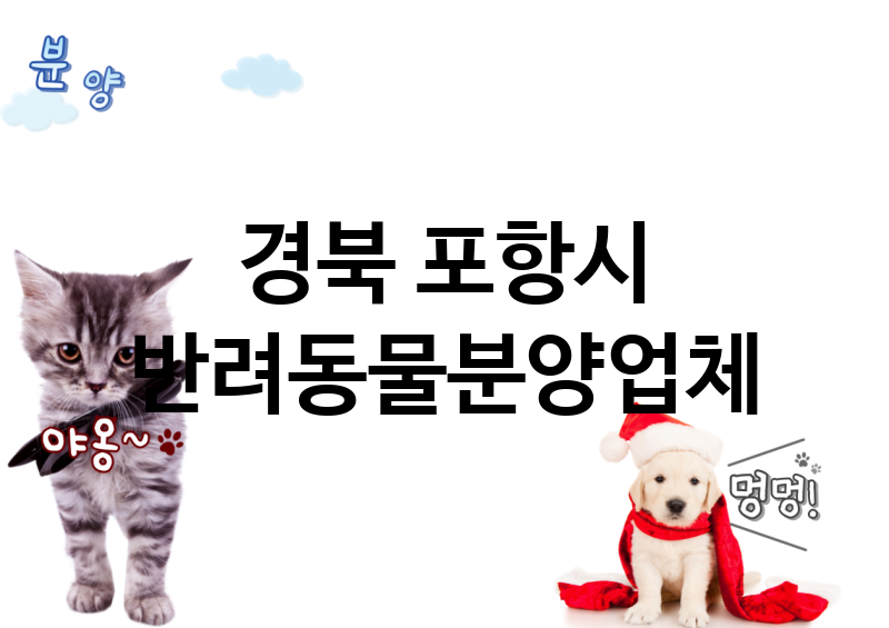 경북 포항시 반려동물분양 업체 추천 1