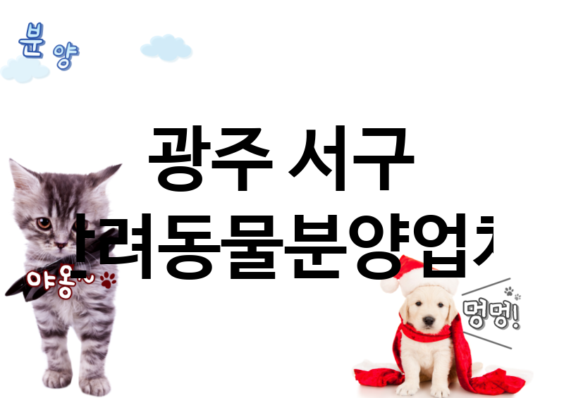 광주 서구 반려동물분양 추천 TOP 1