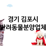 경기 김포시 반려동물분양 추천 TOP 3