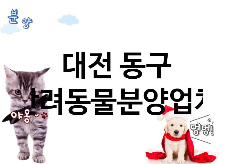 대전 동구 반려동물분양 추천 TOP 1