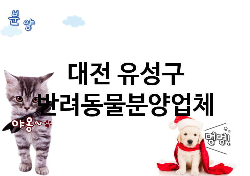 대전 유성구 반려동물분양 업체 추천 2