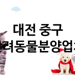 대전 중구 반려동물분양 추천 TOP 3