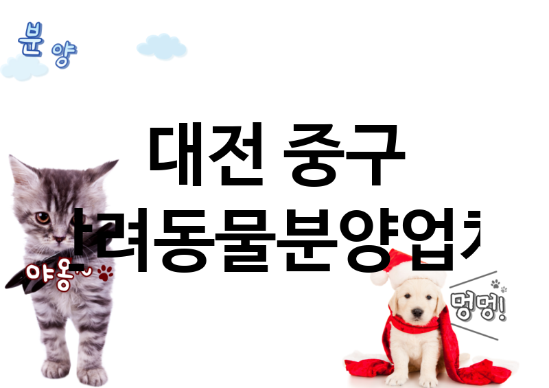 대전 중구 반려동물분양 추천 TOP 3