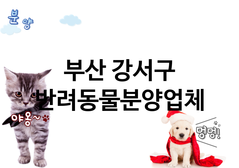 부산 강서구 반려동물분양 업체 추천 1