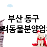 부산 동구 반려동물분양 업체 추천 1