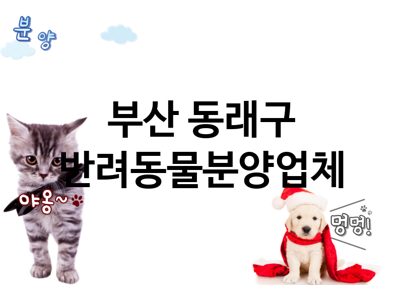 부산 동래구 반려동물분양 업체 추천 1