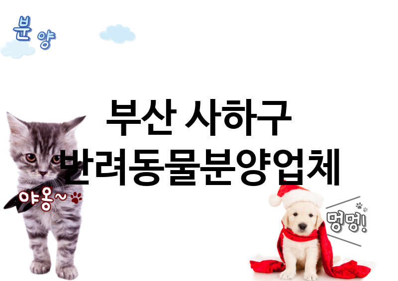 부산 사하구 반려동물분양 업체 추천 1