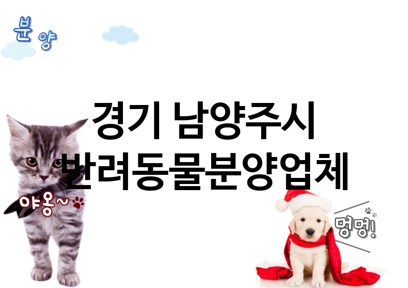 경기 남양주시 반려동물분양 업체 추천 5