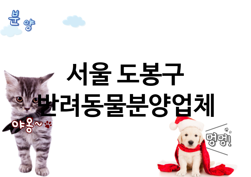 서울 도봉구 반려동물분양 추천 TOP 1
