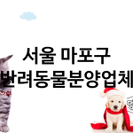 서울 마포구 반려동물분양 업체 추천 1