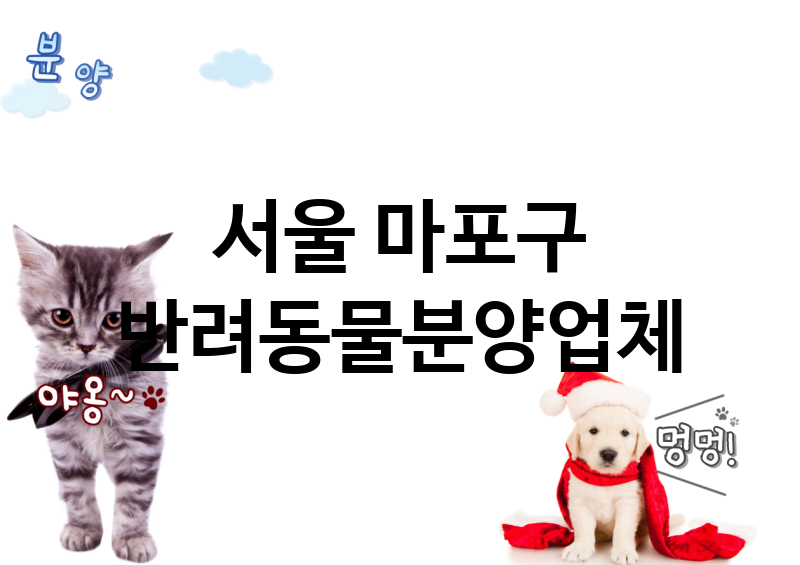 서울 마포구 반려동물분양 업체 추천 1