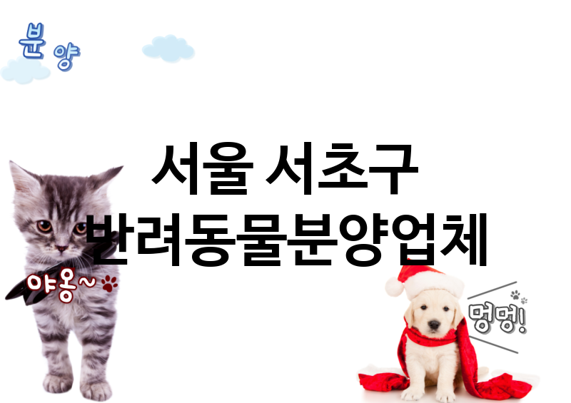 서울 서초구 반려동물분양 업체 추천 1