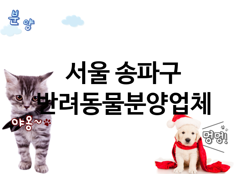 서울 송파구 반려동물분양 업체 추천 2