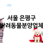서울 은평구 반려동물분양 추천 TOP 1