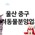 울산 중구 반려동물분양 업체 추천 1