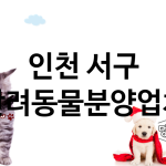 인천 서구 반려동물분양 업체 추천 5