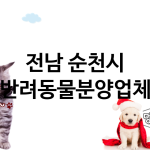 전남 순천시 반려동물분양 추천 TOP 1