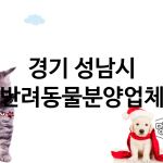 경기 성남시 반려동물분양 추천 TOP 4