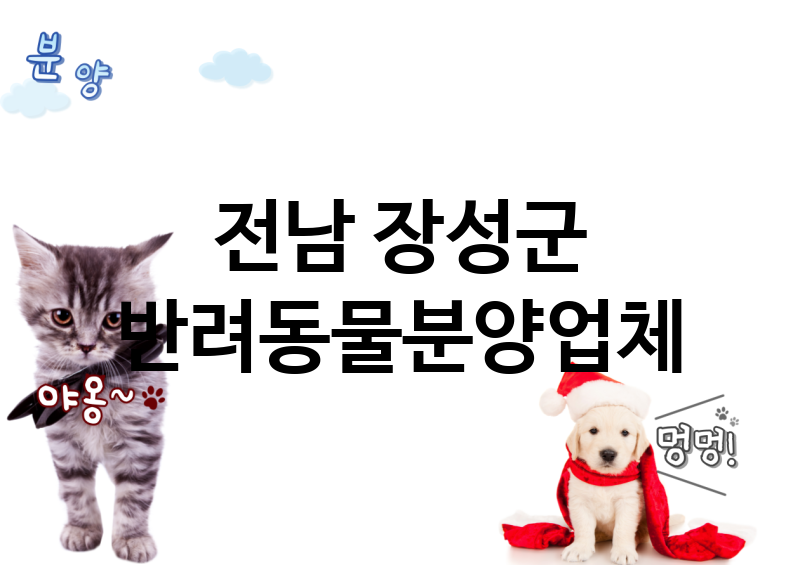 전남 장성군 반려동물분양 업체 추천 3