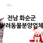 전남 화순군 반려동물분양 추천 TOP 5