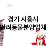 경기 시흥시 반려동물분양 추천 TOP 3