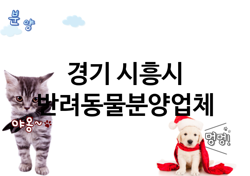경기 시흥시 반려동물분양 추천 TOP 3