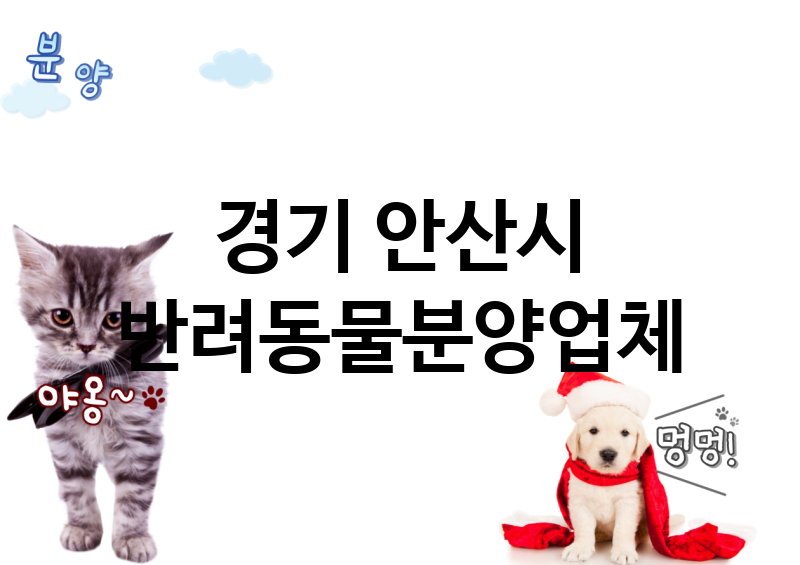 경기 안산시 반려동물분양 업체 추천 5