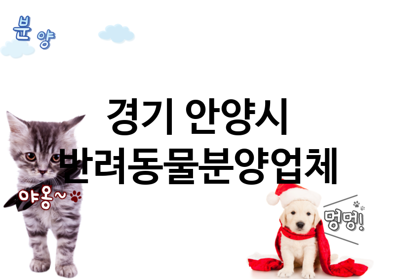 경기 안양시 반려동물분양 추천 TOP 2