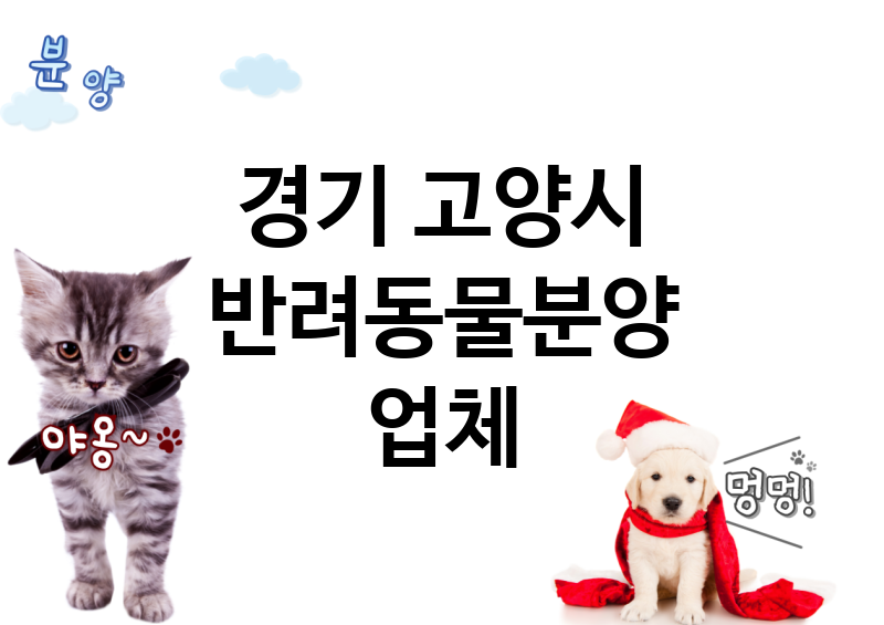 경기 고양시 반려동물분양 업체 추천 5