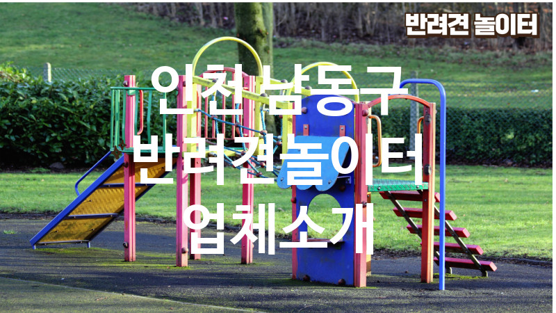 인천 남동구 반려견놀이터 업체소개