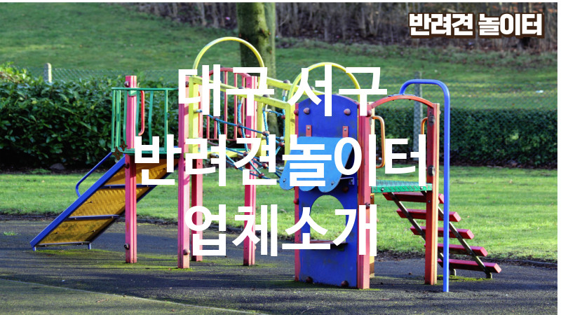 대구 서구 반려견놀이터 업체소개