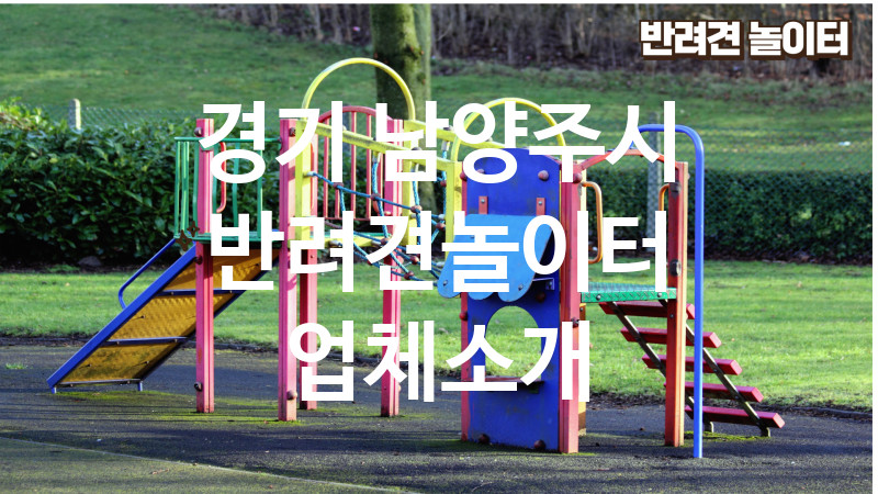 경기 남양주시 반려견놀이터 업체소개