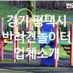 경기 평택시 반려견놀이터 업체소개