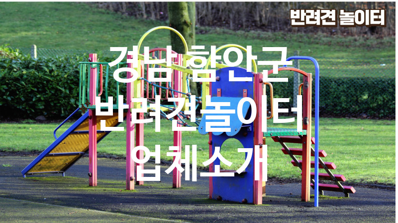 경남 함안군 반려견놀이터 업체소개