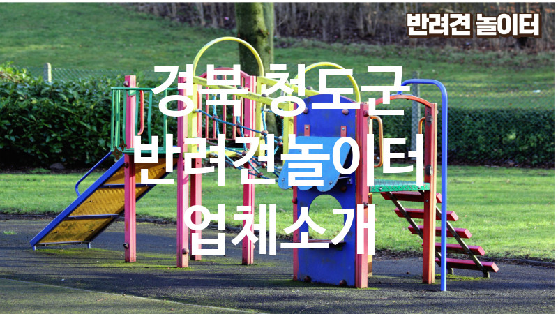 경북 청도군 반려견놀이터 업체소개