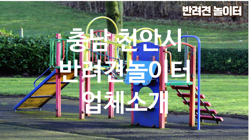 충남 천안시 반려견놀이터 업체소개