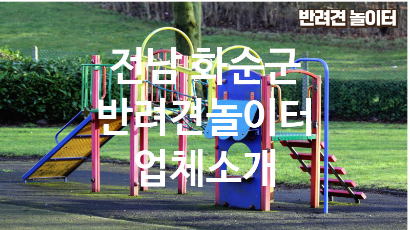 전남 화순군 반려견놀이터 업체소개