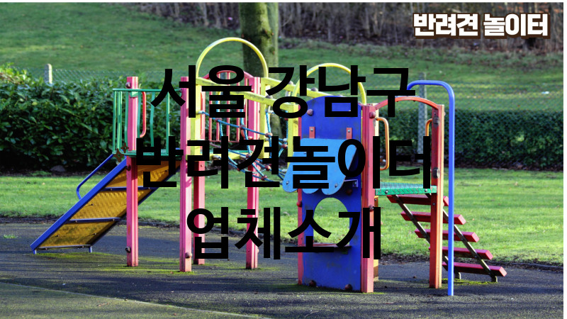 서울 강남구 반려견놀이터 업체소개