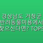경상남도 거창군 반려동물미용에서  찾으신다면? TOP5